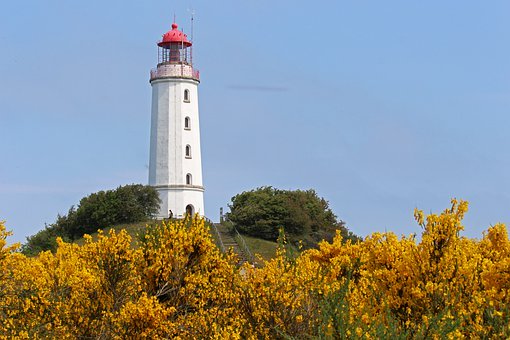 274540