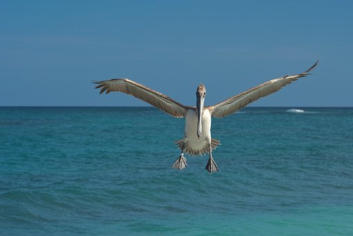 77490