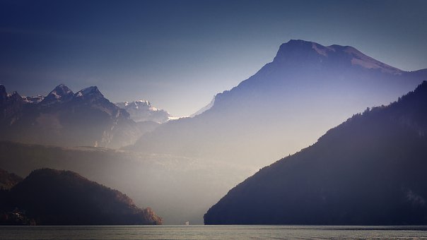 3156