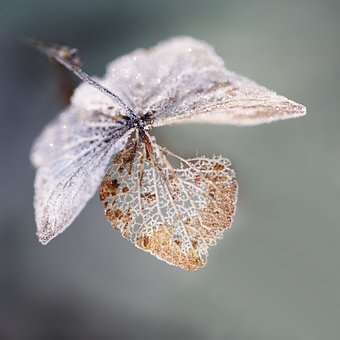85099