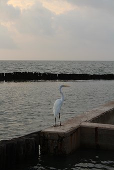 201135