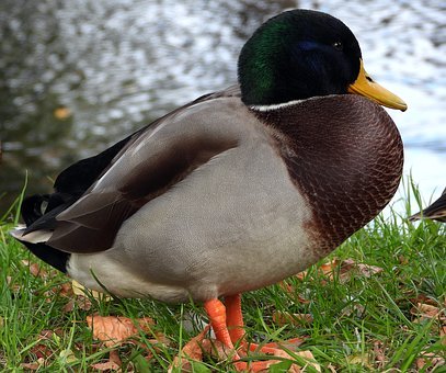 328335