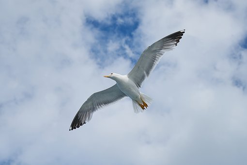 298161