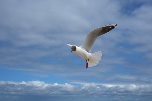 72372