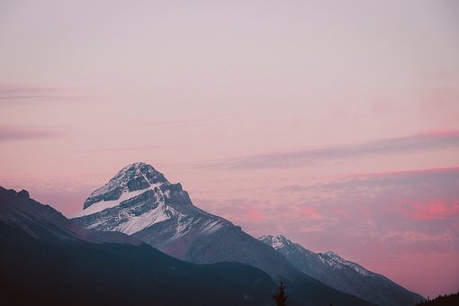 13079