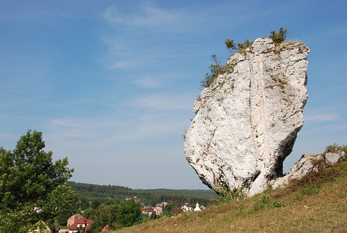 305038