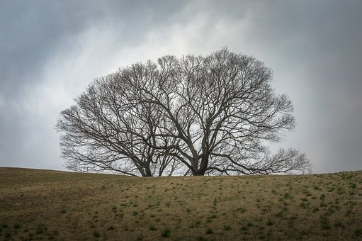 337676