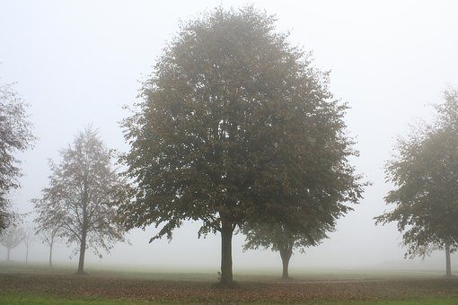 173787