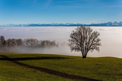 93653