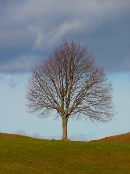 133045