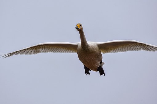 255625