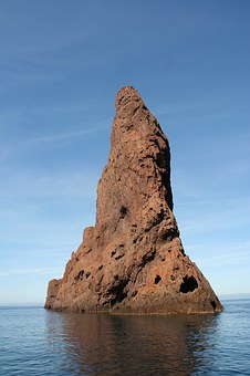 292929