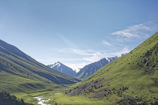69661