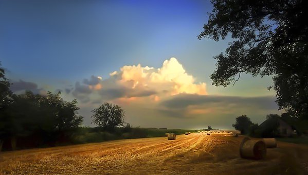 200978