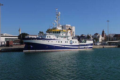 312806