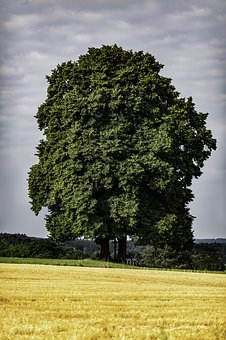 187167