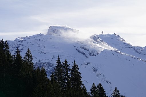 1620