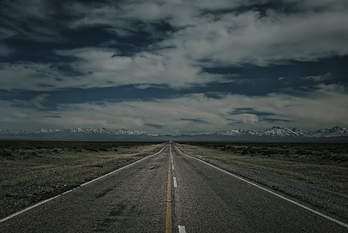 76445