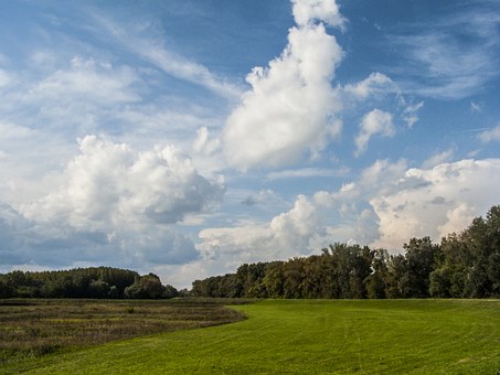20058