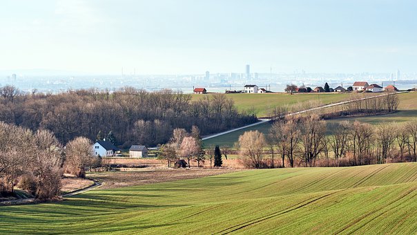 238075