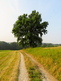 174947