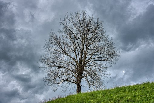 190946