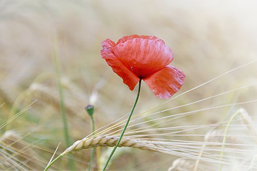 201095