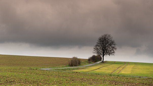320081