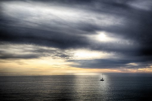 25061