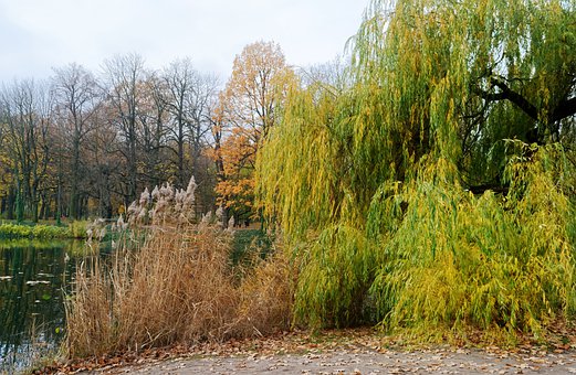 191901