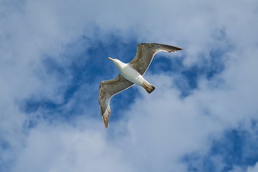 268559