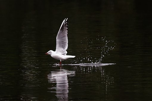 198082