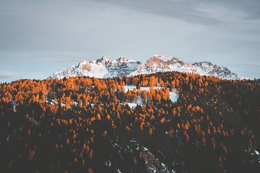310421