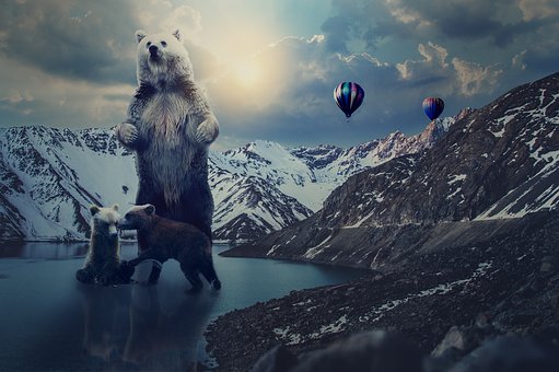 21215