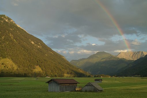 230882