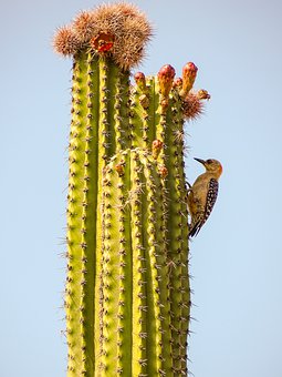 80504