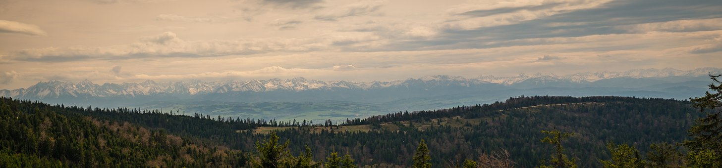 386961