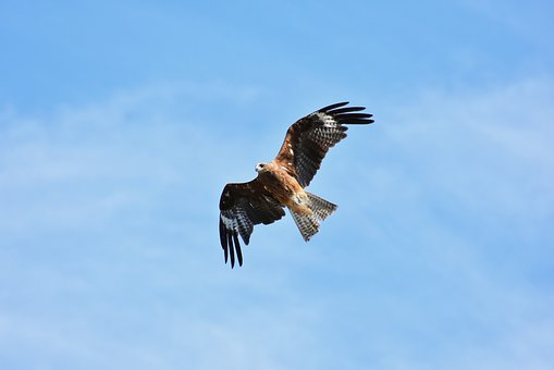 55774