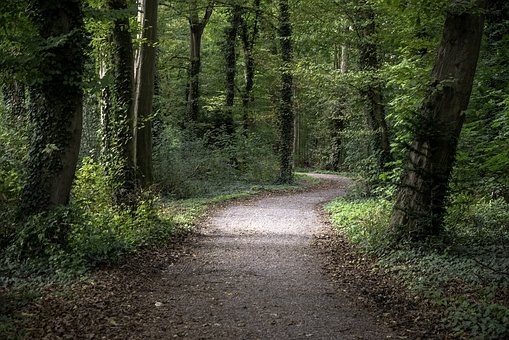 247523