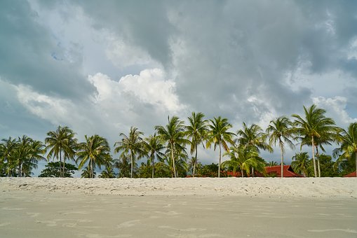 248531