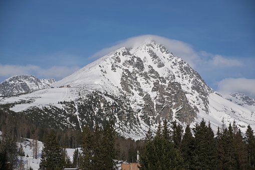 259953