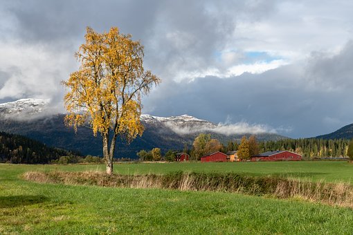 50983