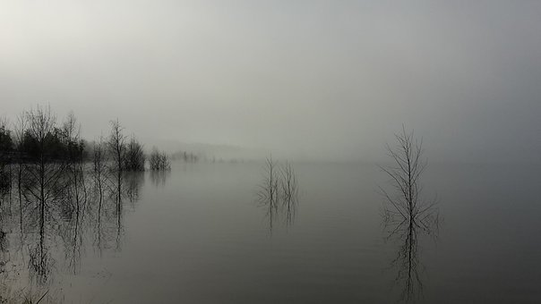 142616