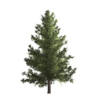 40105