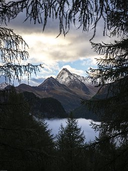 288713