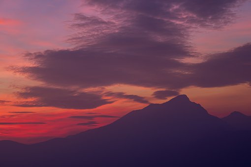 12982