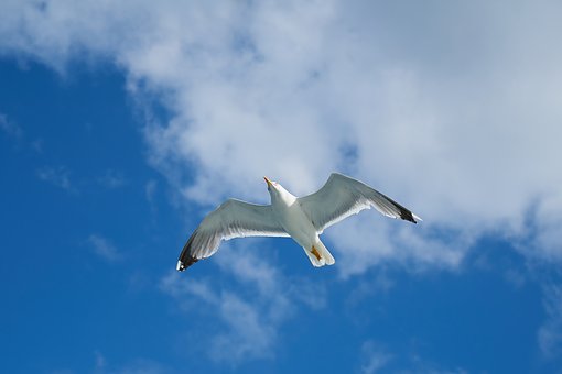 305889