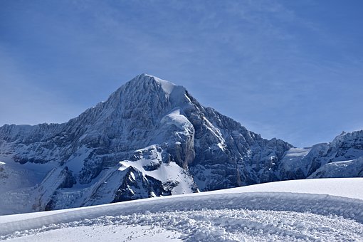 65431