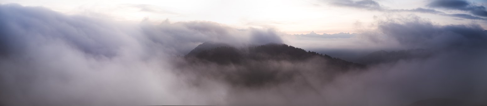 123802