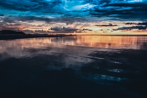 26025